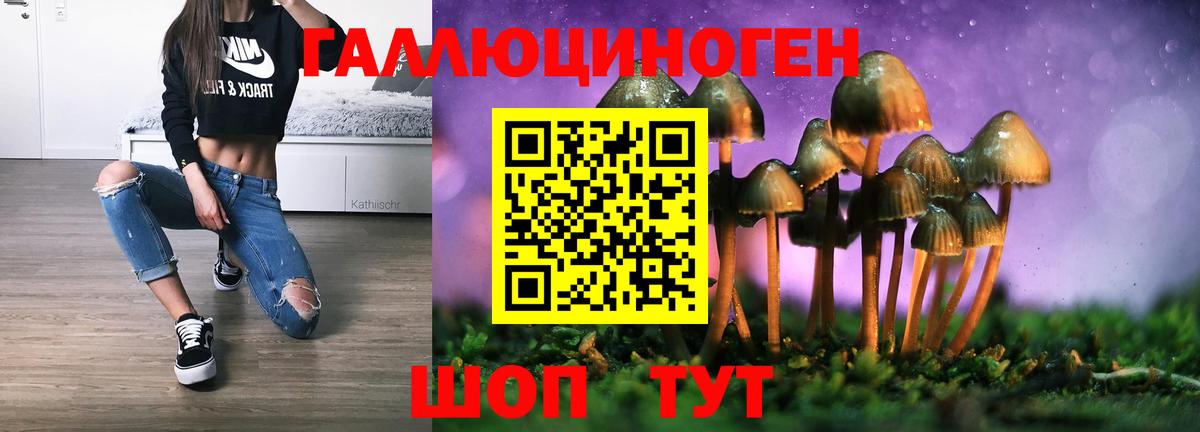 Псилоцибиновые грибы GOLDEN TEACHER  Вход с VPN  где найти наркотики  Кунгур 